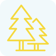 Forestry Sales Image