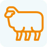 Meat and Wool Sales image